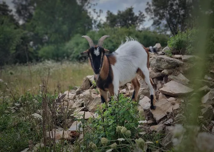 Héléna, Indépendante Du De L'archerie Casa vacanze Saint-Lambert-la-Potherie