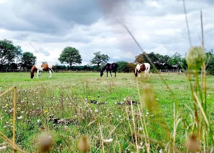 Héléna, Indépendante Du De L'archerie *